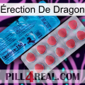 Érection De Dragon new14